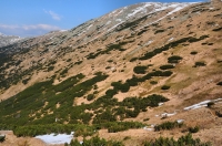 NP Nízké Tatry