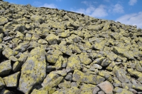 Rock field, Nizke Tatry Mts.