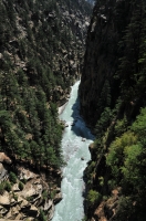 NP Gangotri