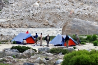 Gaumugh, NP Gangotri