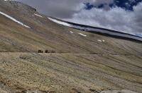 From Manali to Leh