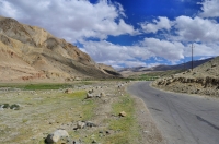 From Manali to Leh