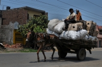 Amritsar