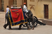 Jaipur