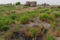 Khoja Mashad, Shahrtuz