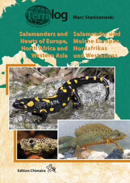 Salamanders